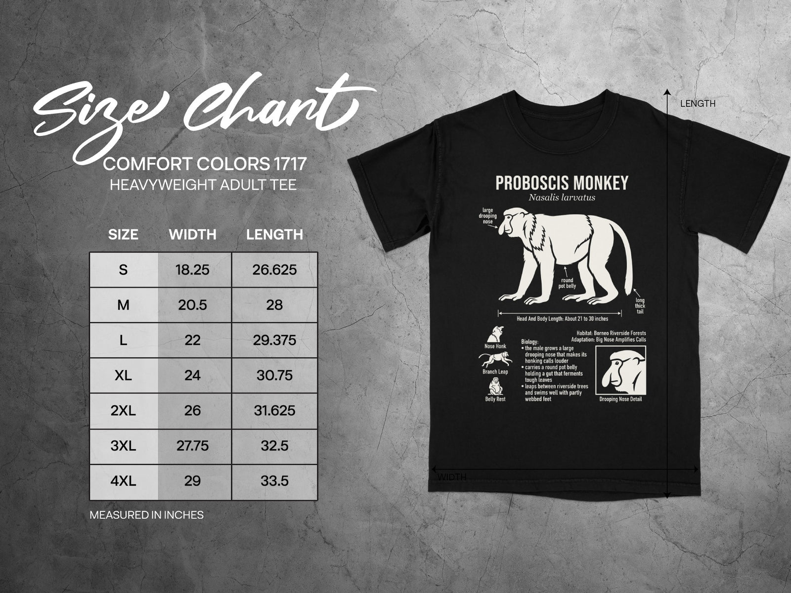 ProboCIS Monkey t-shirt size chart with width and length measurements in inches.