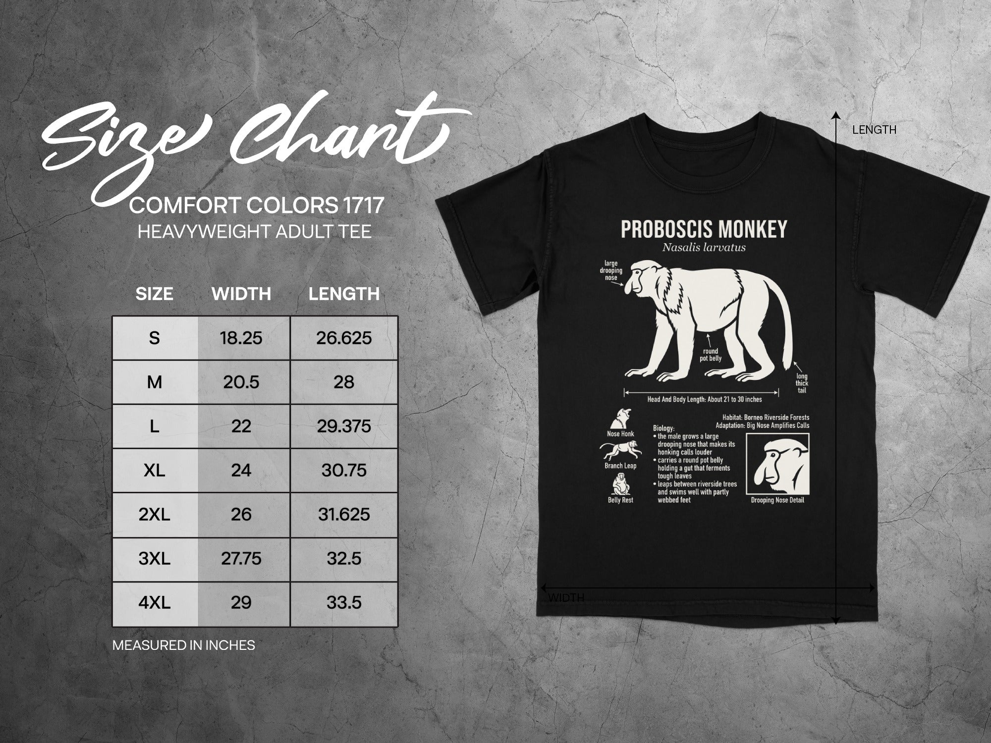 ProboCIS Monkey t-shirt size chart with width and length measurements in inches.