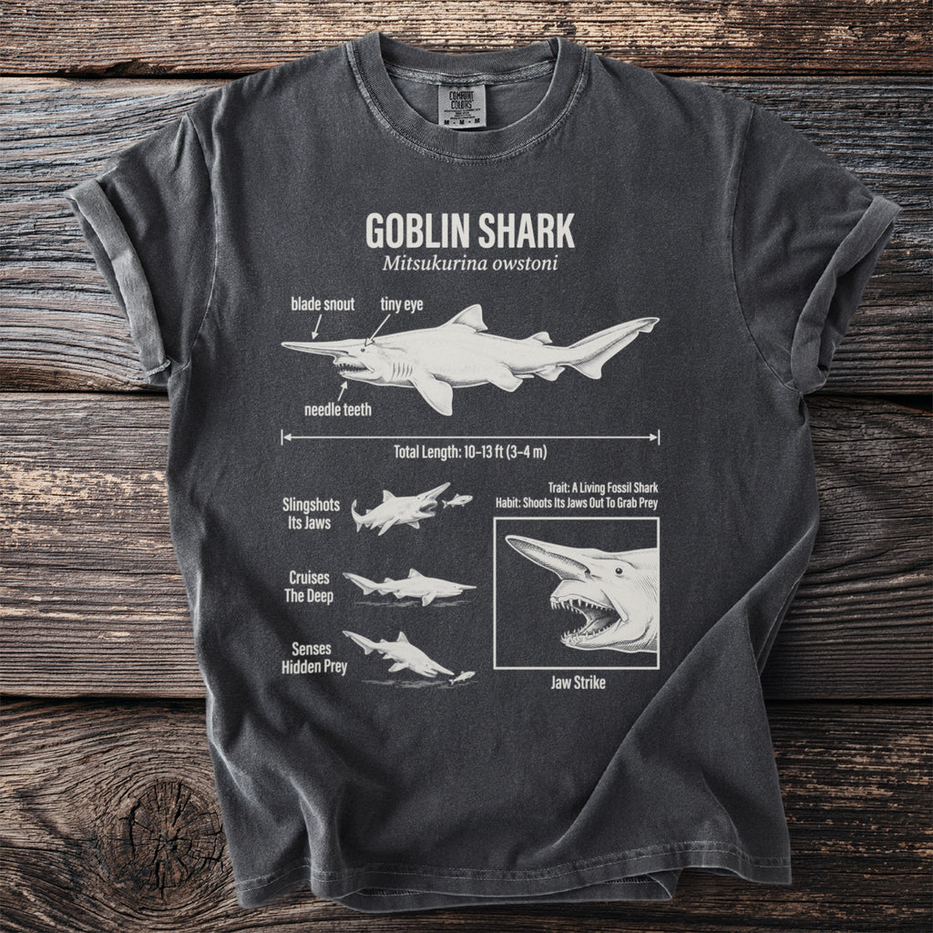Illustration of a goblin shark with labeled anatomical features and behaviors.