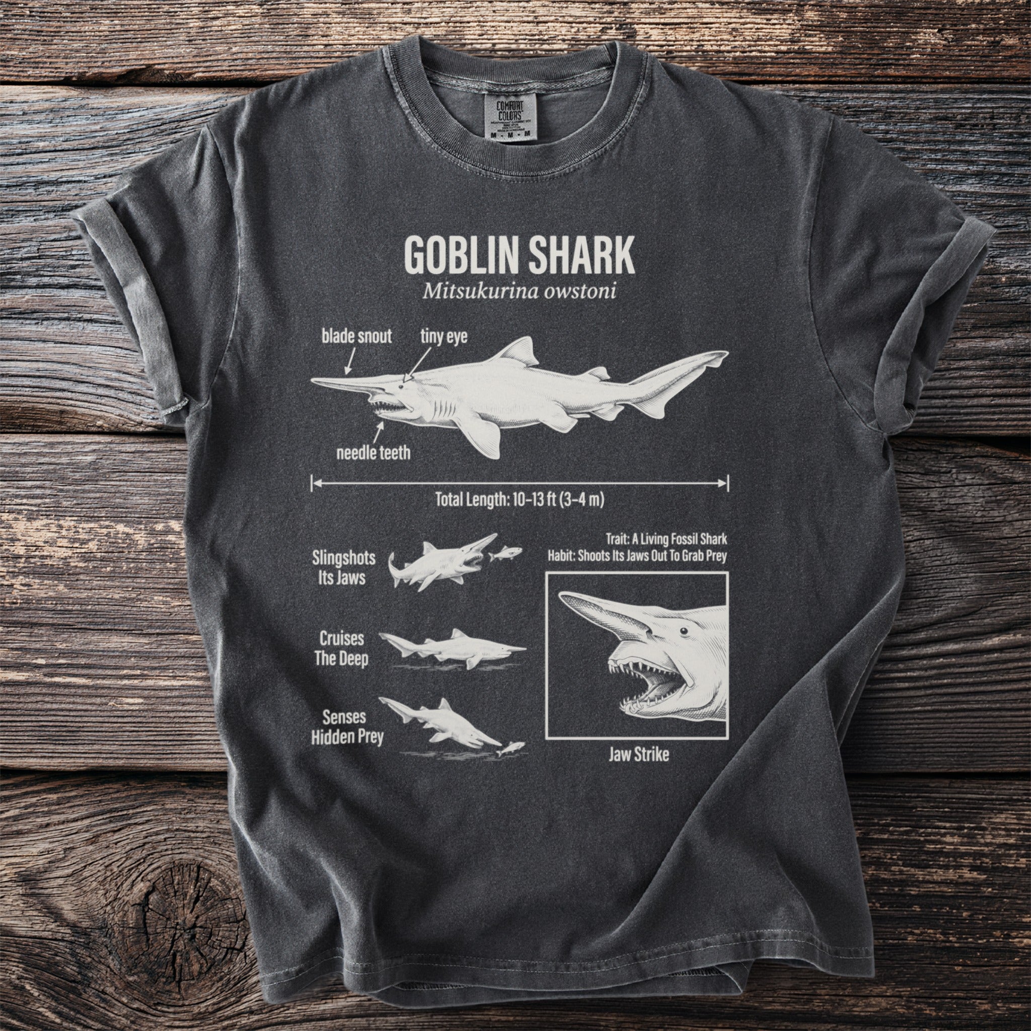 Illustration of a goblin shark with labeled anatomical features and behaviors.