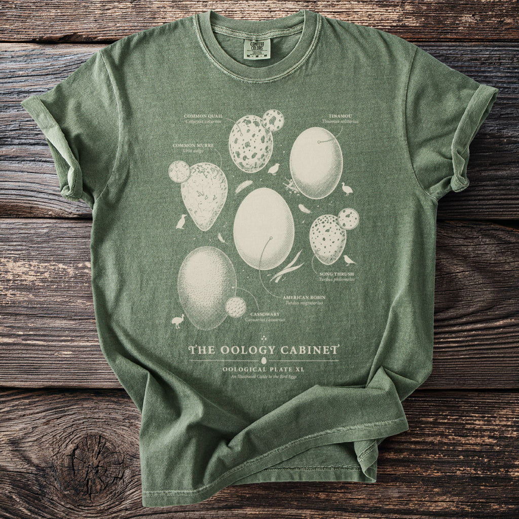 Green Comfort Colors t-shirt featuring various bird eggs labeled "The Oology Cabinet".