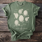 Green Comfort Colors t-shirt featuring various bird eggs labeled "The Oology Cabinet".