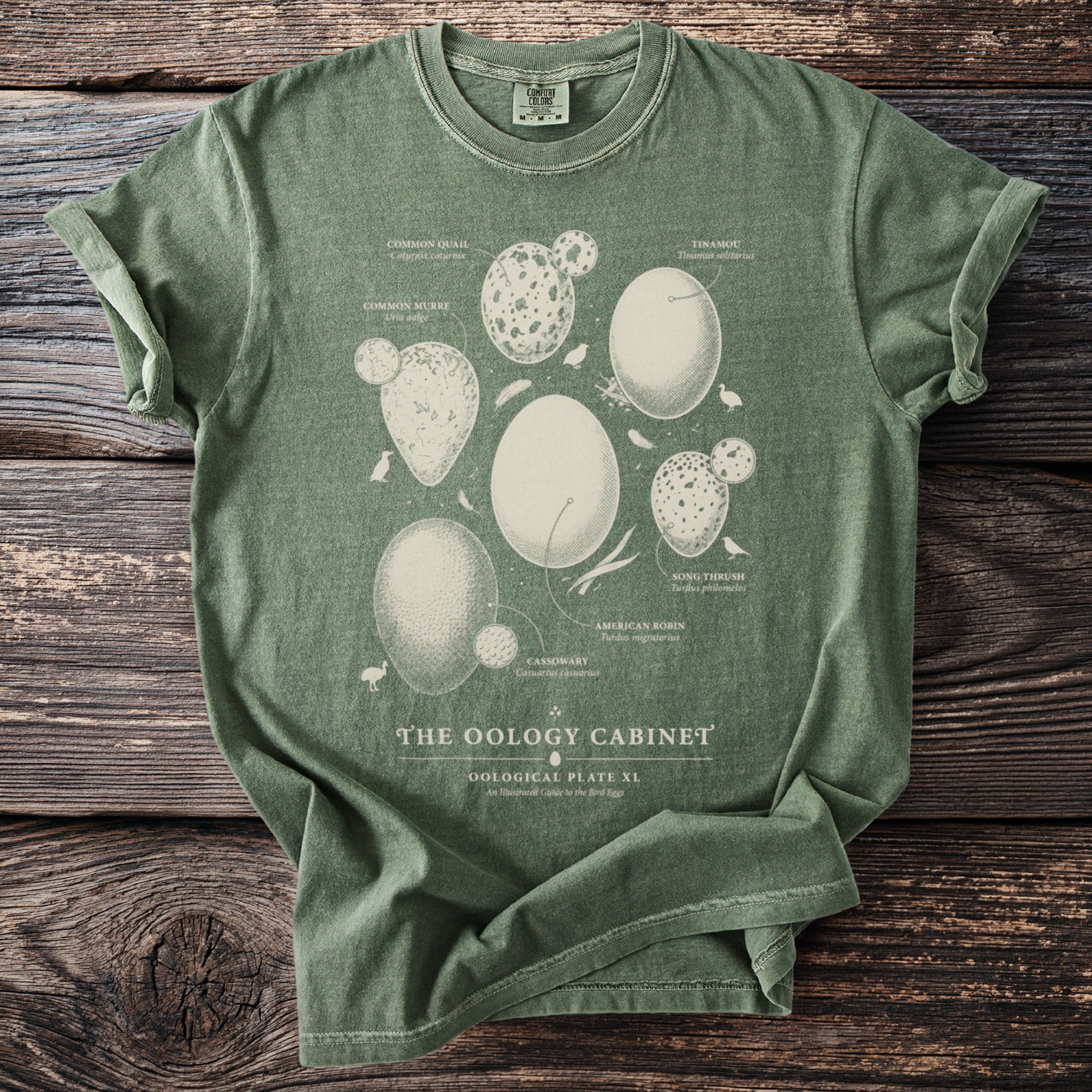Green Comfort Colors t-shirt featuring various bird eggs labeled "The Oology Cabinet".
