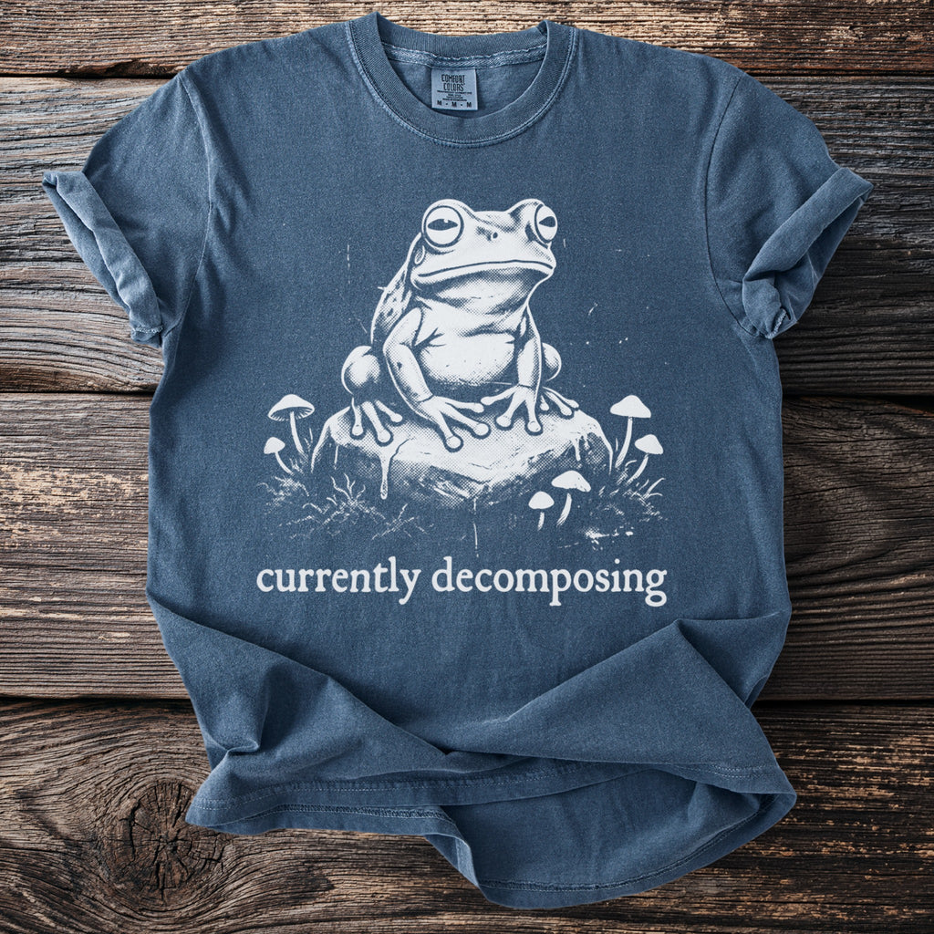 Blue t-shirt with a white line drawing of a frog on a rock surrounded by mushrooms and text.