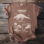Brown t-shirt with diagram of a pangolin, labeled with its features and habits.
