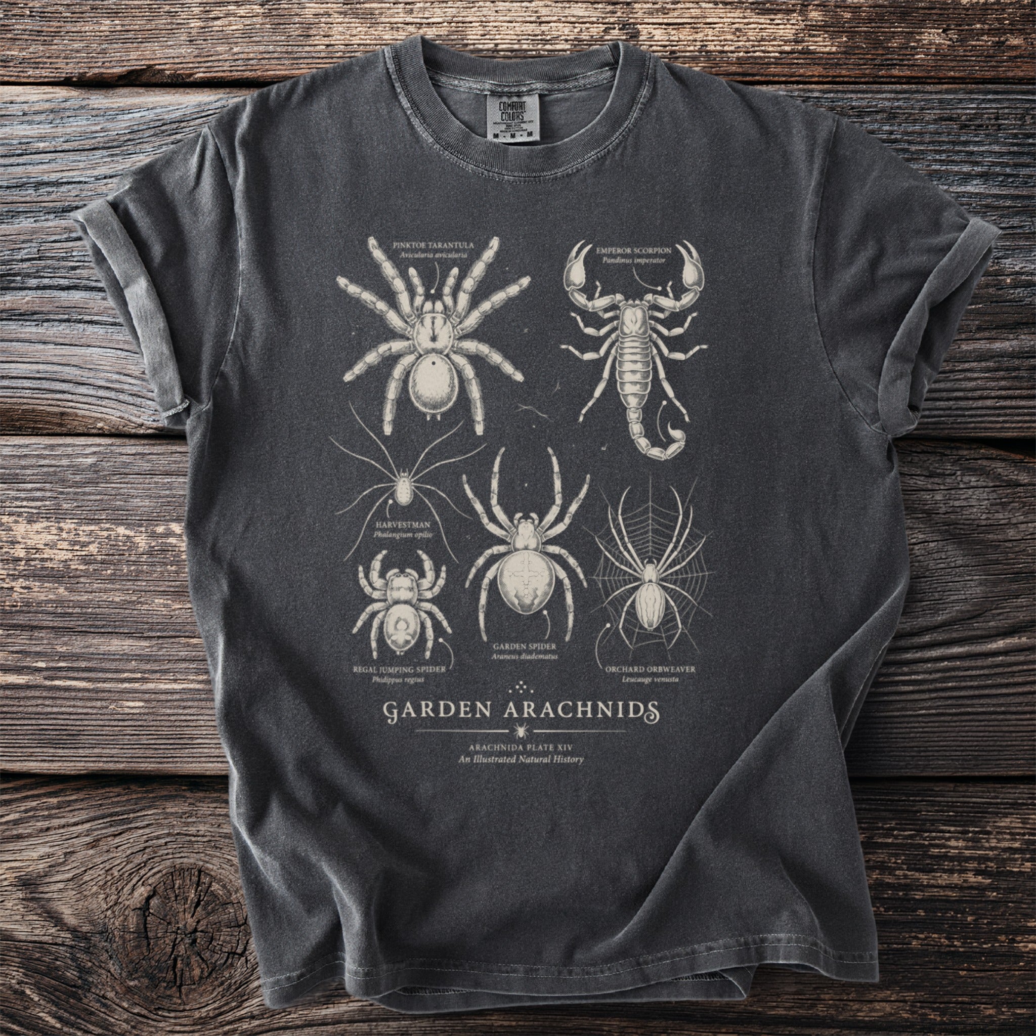 Dark grey t-shirt with a scientific illustration of various arachnids and text.