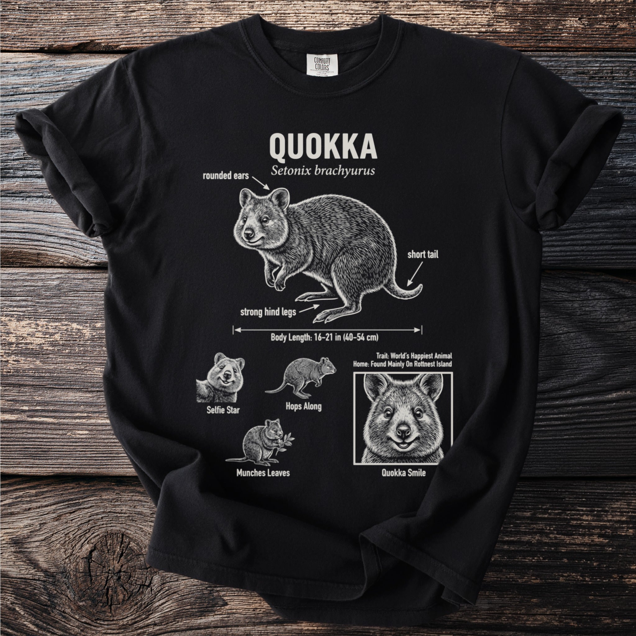 Black t-shirt with Quokka facts and illustrations: "Quokka," "Setonix brachyurus," body length, and behaviors.