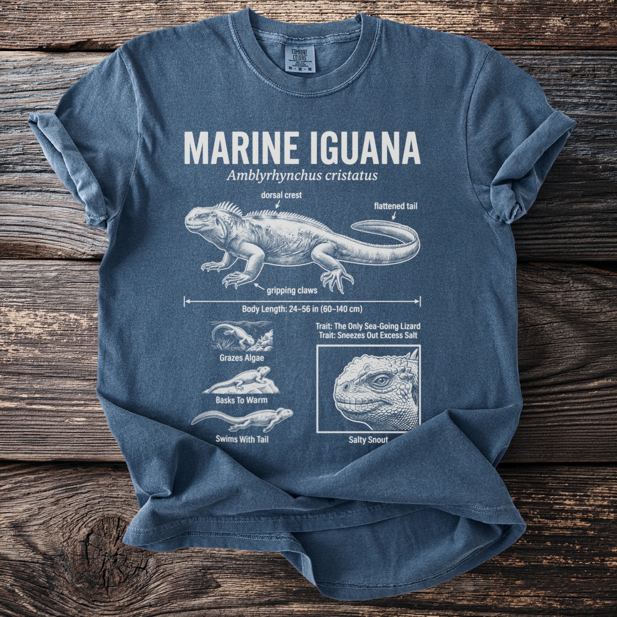 Marine Iguana scientific illustration with body length and traits on a blue t-shirt.