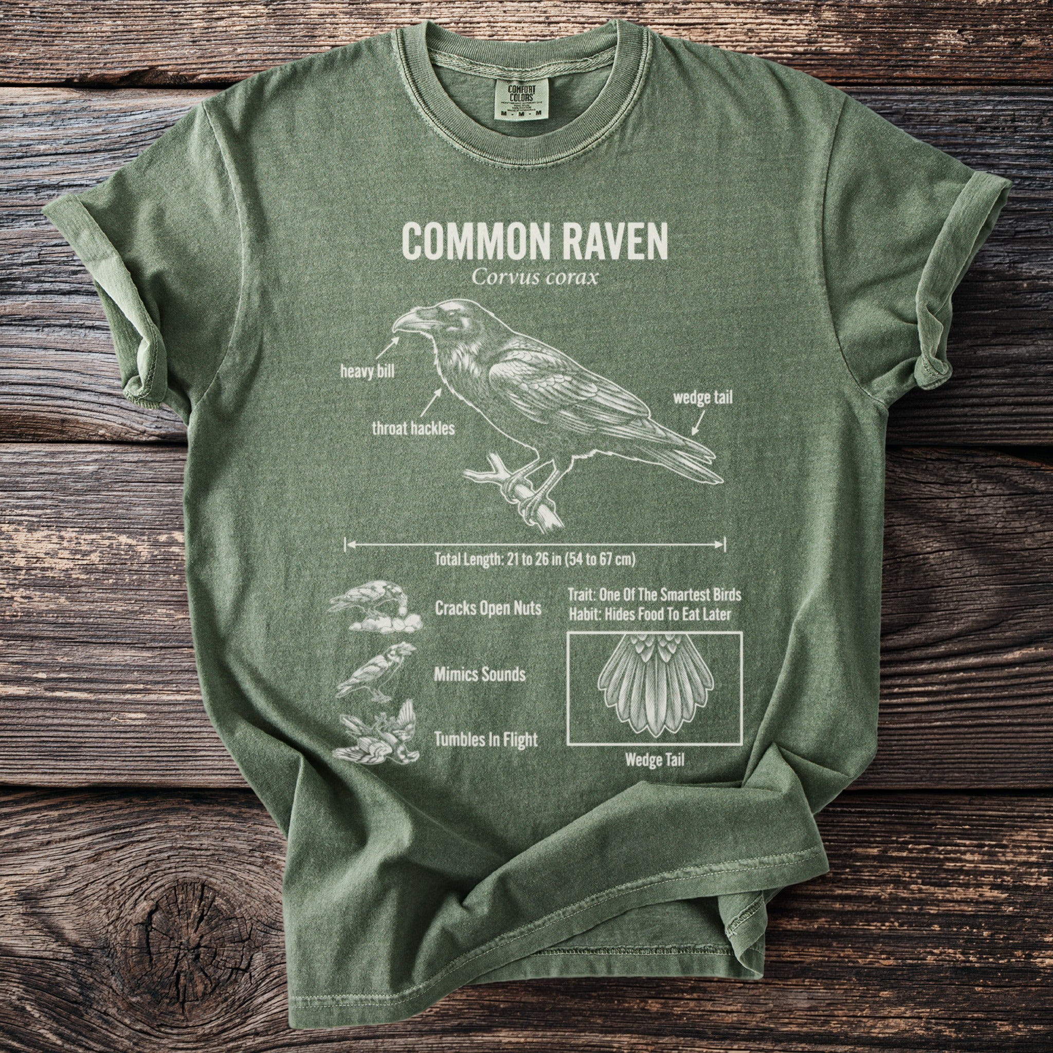Green t-shirt with Common Raven diagram and facts printed on front.