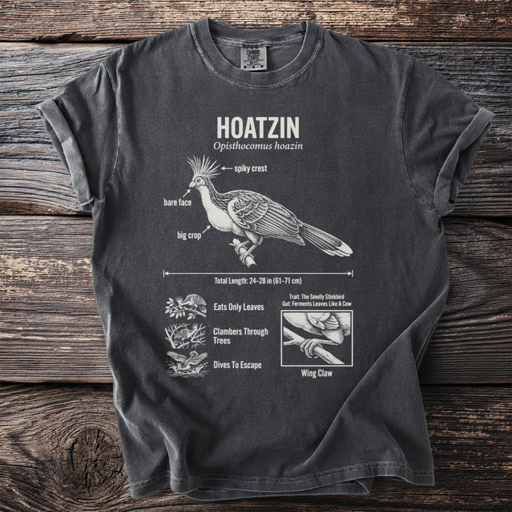 Charcoal t-shirt with Hoatzin bird anatomy diagram and facts.
