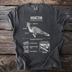Charcoal t-shirt with Hoatzin bird anatomy diagram and facts.