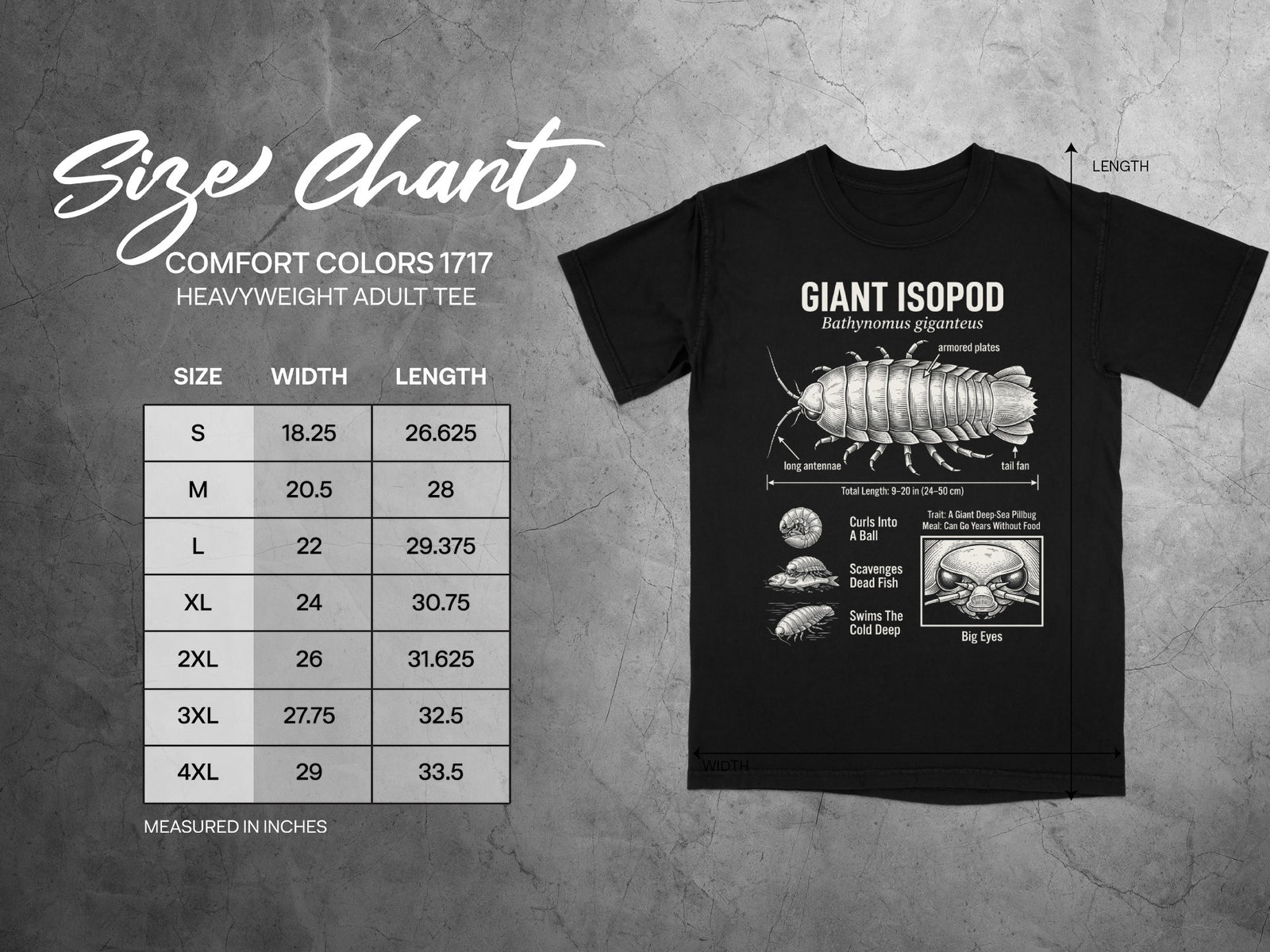 Comfort Colors 1717 garment size chart in inches.