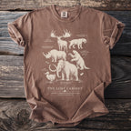 Brown t-shirt with extinct megafauna illustrations and "The Lost Cabinet" text.