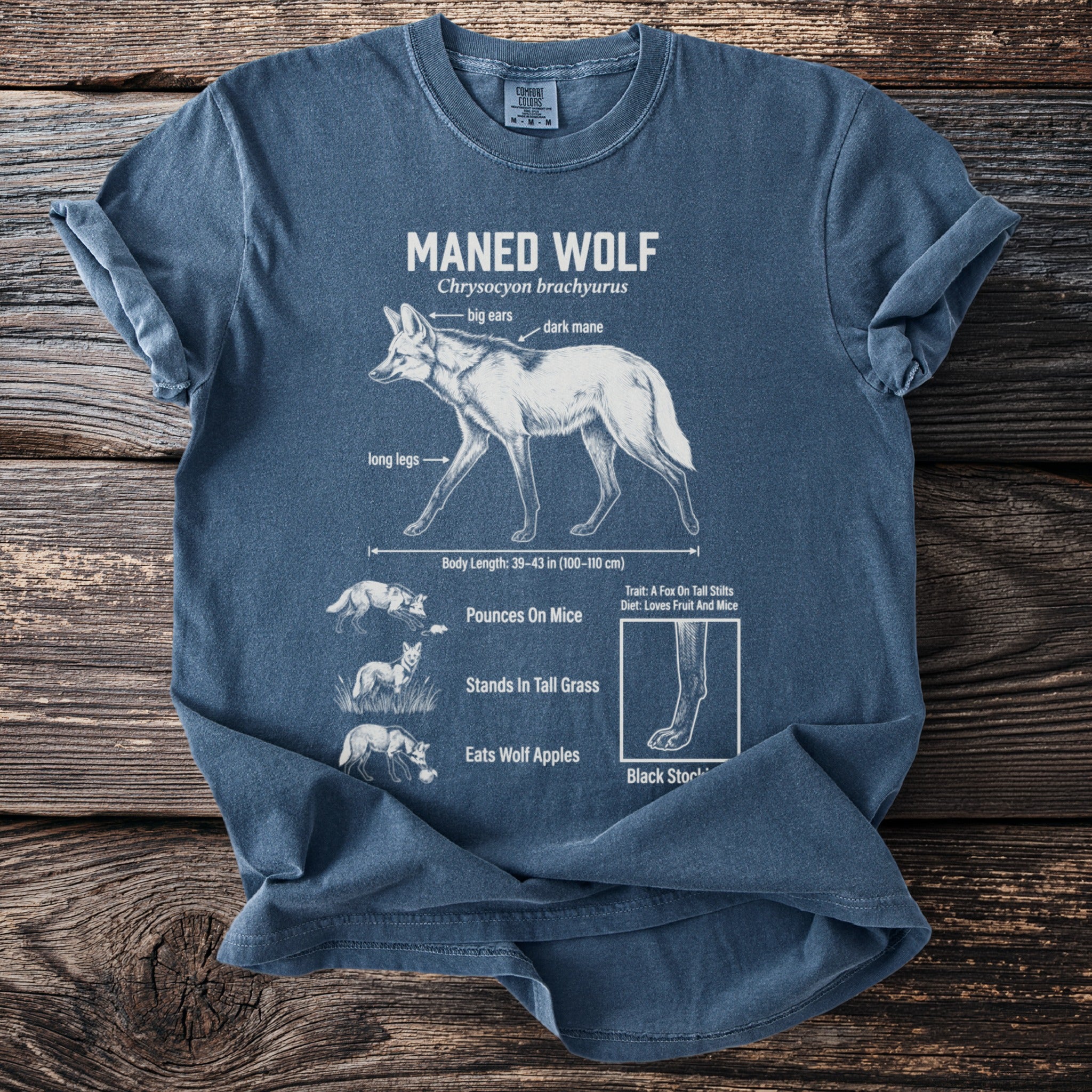 Blue t-shirt with Maned Wolf diagram featuring "big ears," "dark mane," and "long legs."