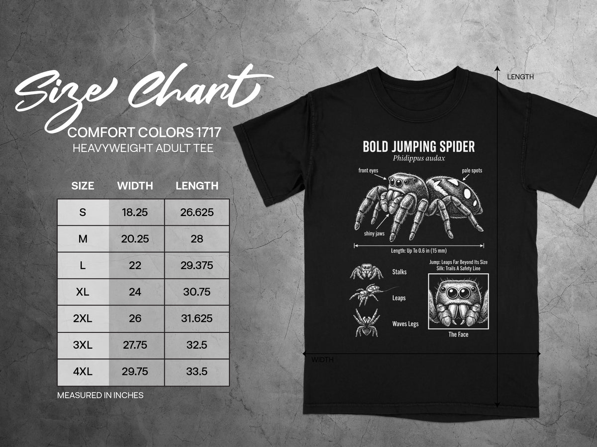 Size chart for Comfort Colors 1717 heavyweight adult tee with bold jumping spider graphic.
