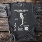 Resplendent Quetzal diagram on a dark gray t-shirt with biological details.