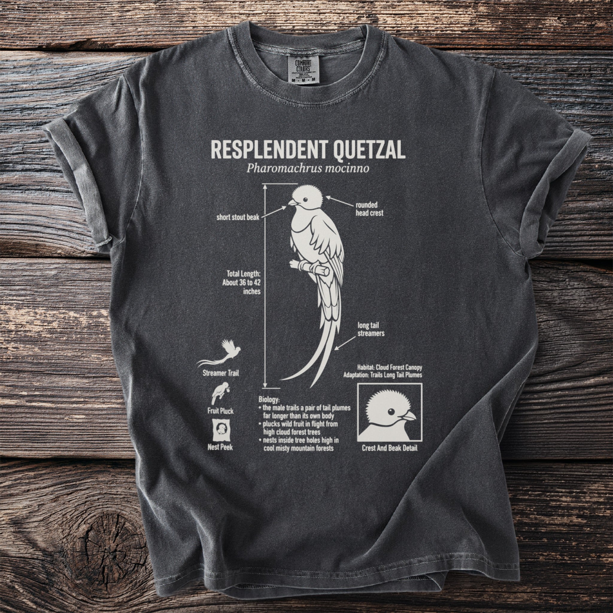 Resplendent Quetzal diagram on a dark gray t-shirt with biological details.