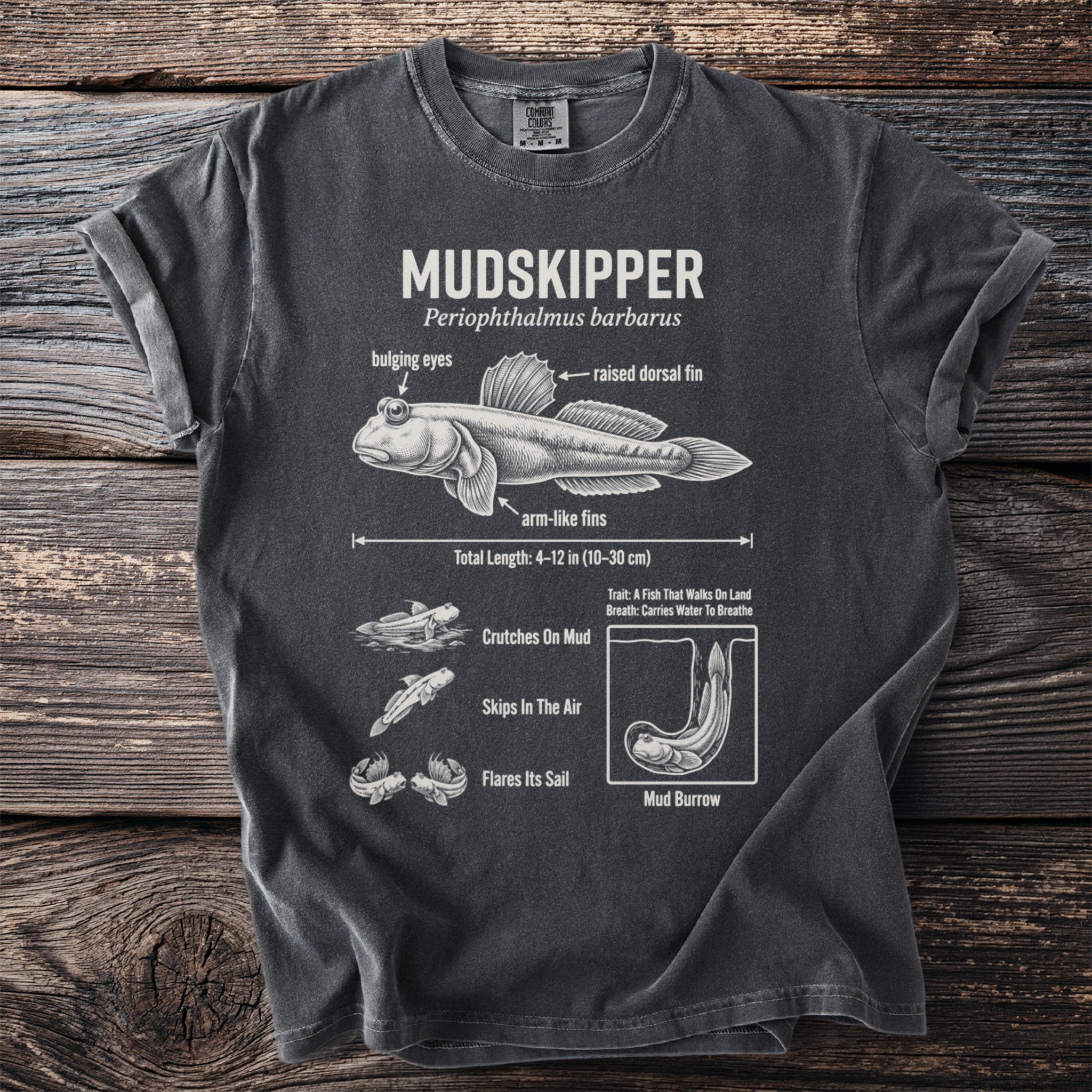 T-shirt with Mudskipper illustration and facts: bulging eyes, raised fin, arm-like fins, length, and behaviors.