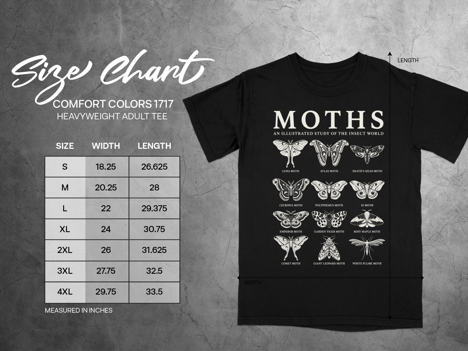 Comfort Colors 1717 size chart with moth illustrations and measurements in inches.