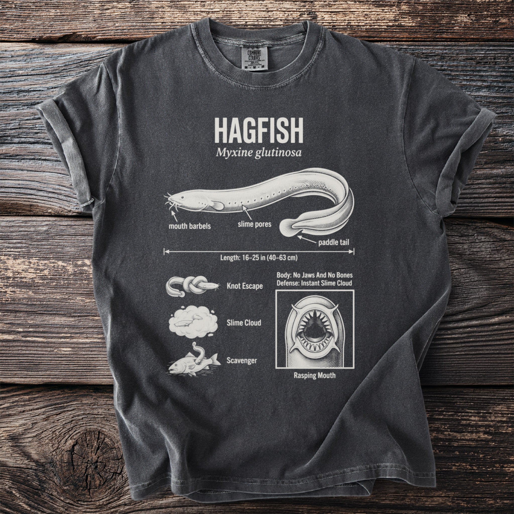 T-shirt with diagram of hagfish, scientific name, and features.