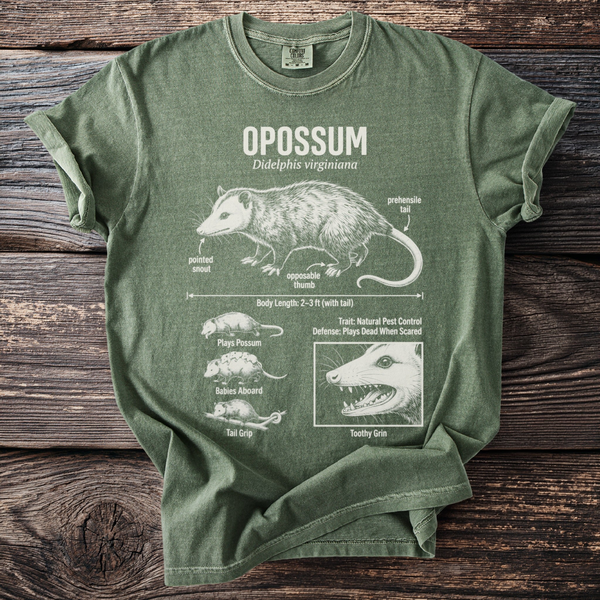 Green t-shirt featuring an anatomical illustration of an opossum with various labeled features.