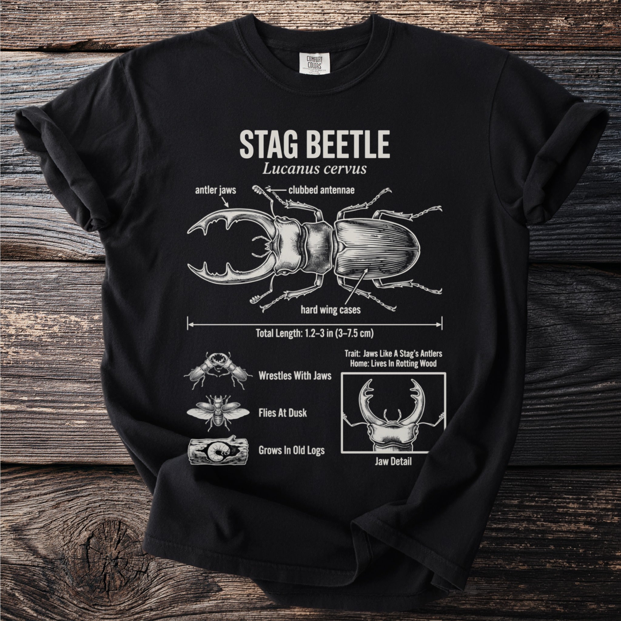 Black t-shirt with a scientific illustration of a stag beetle and its characteristics.