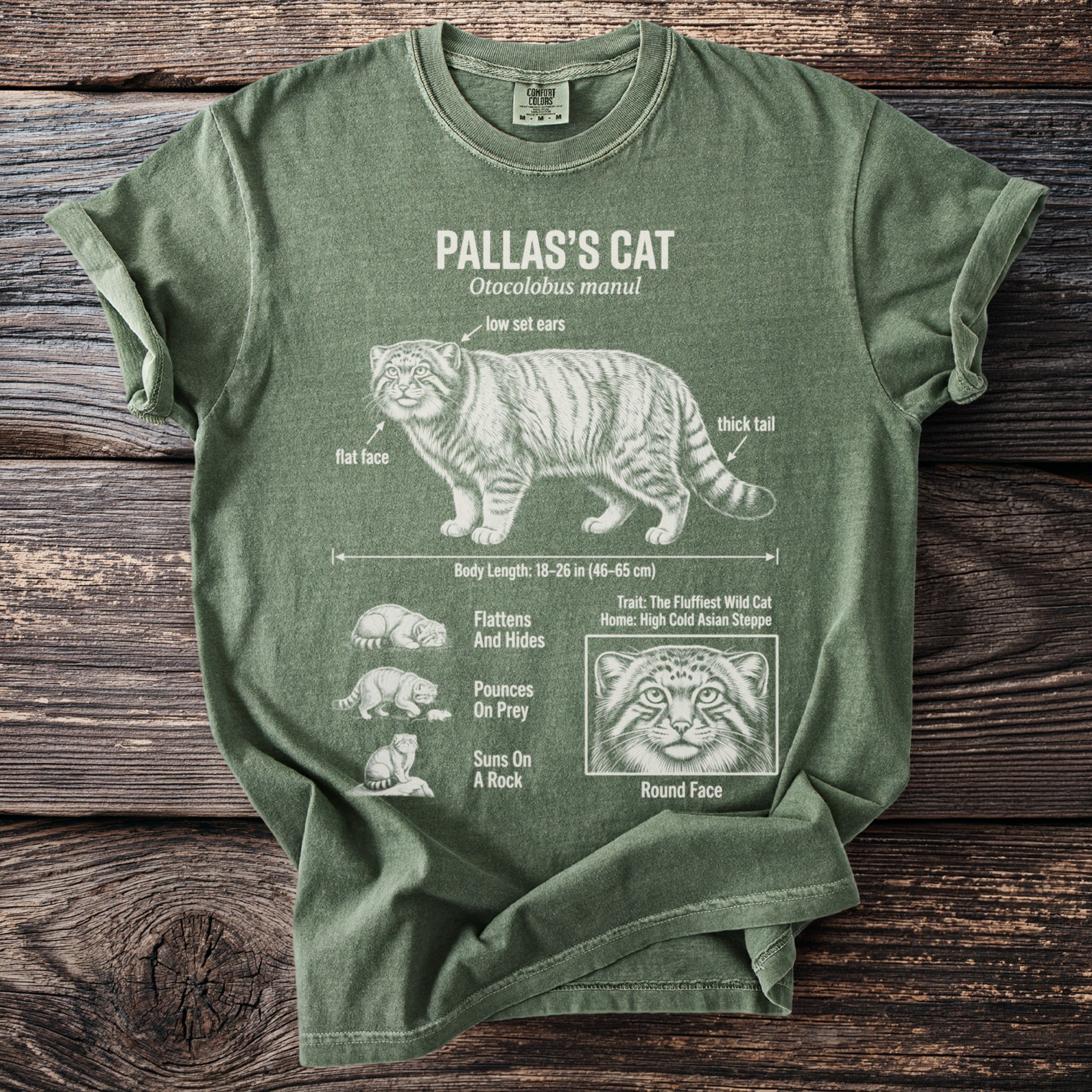 Green t-shirt with Pallas's Cat illustration and scientific information.