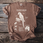Brown t-shirt with Hyacinth Macaw illustration and biological details.