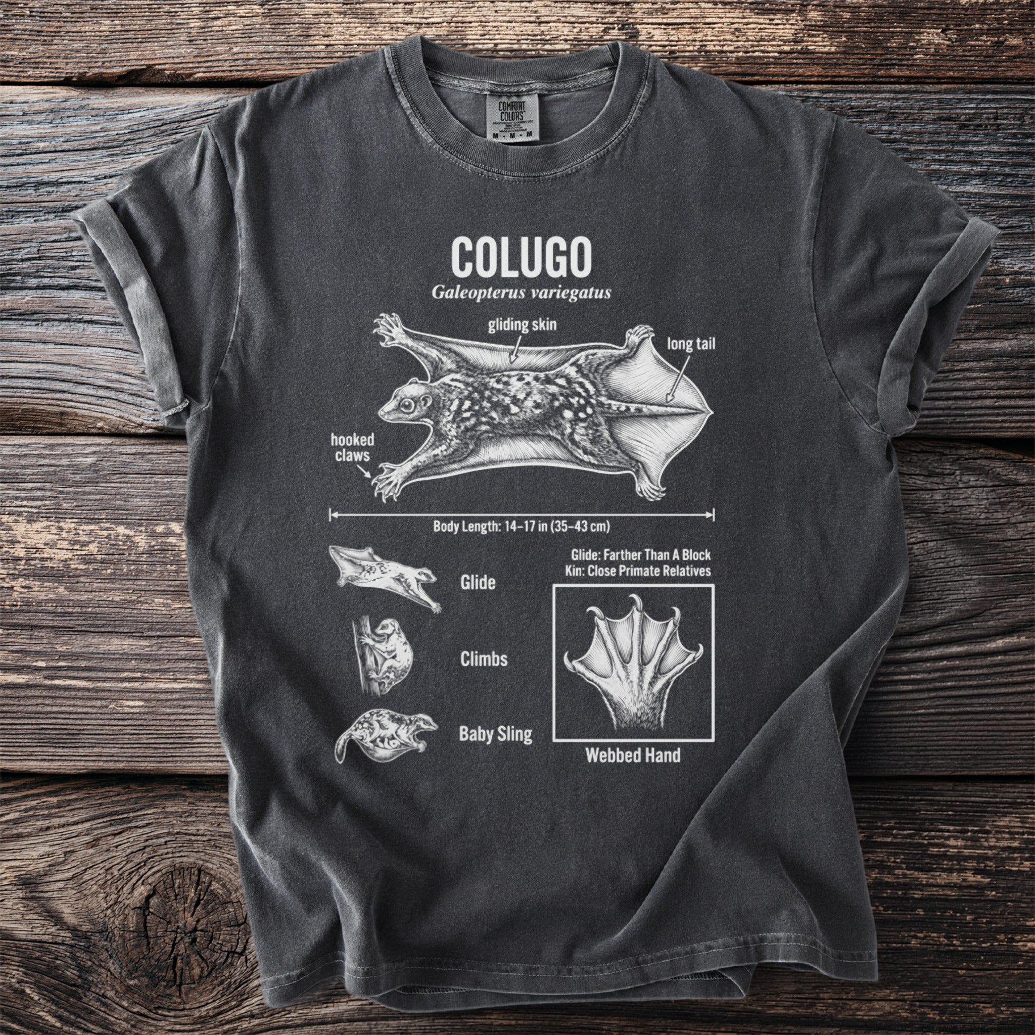 Colugo illustration with anatomical details on a dark t-shirt.