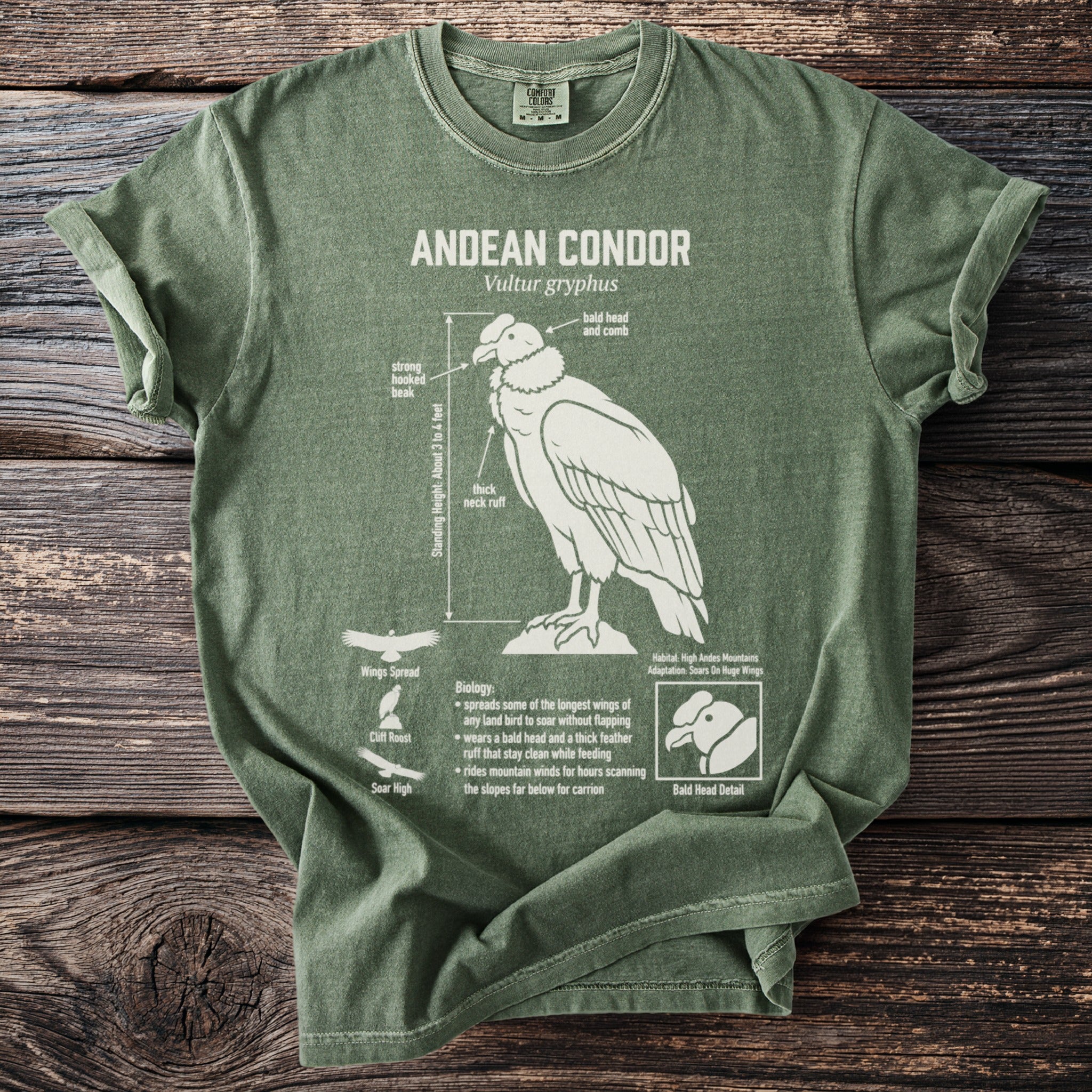 Green t-shirt featuring an illustrated Andean Condor with biological details.