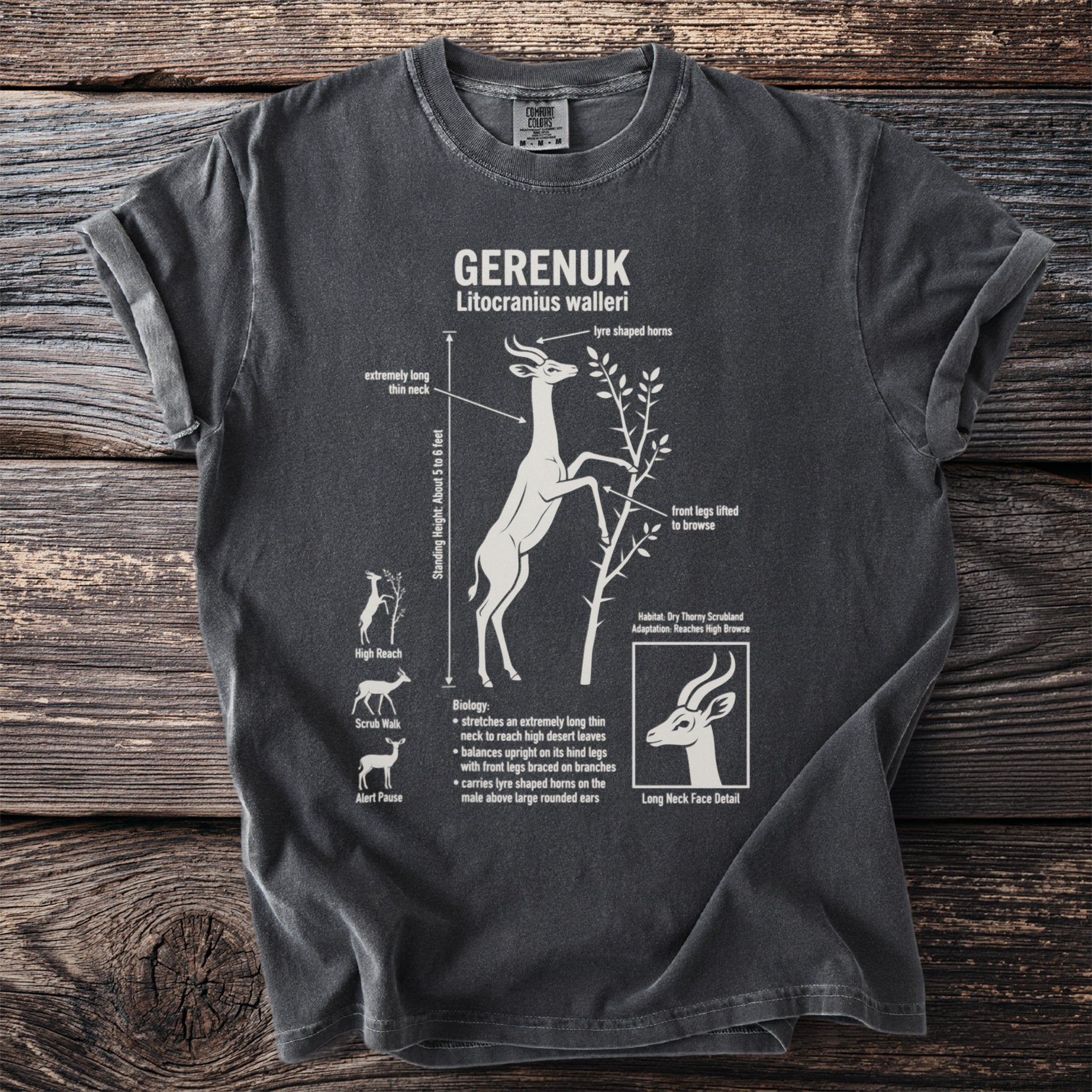 T-shirt with gerenuk illustration and biological facts about the species.