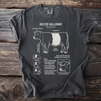 Belted Galloway cow diagram with labels identifying features and biology.