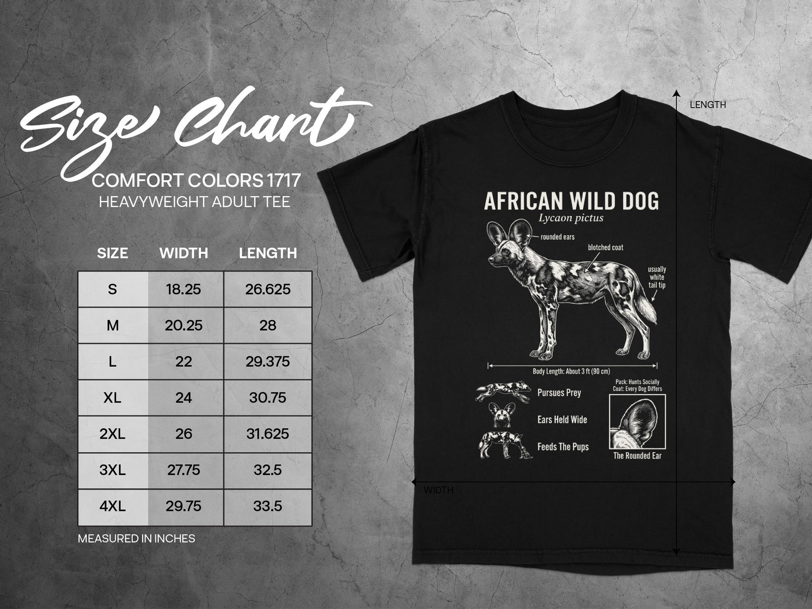 Size chart for Comfort Colors 1717 heavyweight adult tee with African Wild Dog illustration.