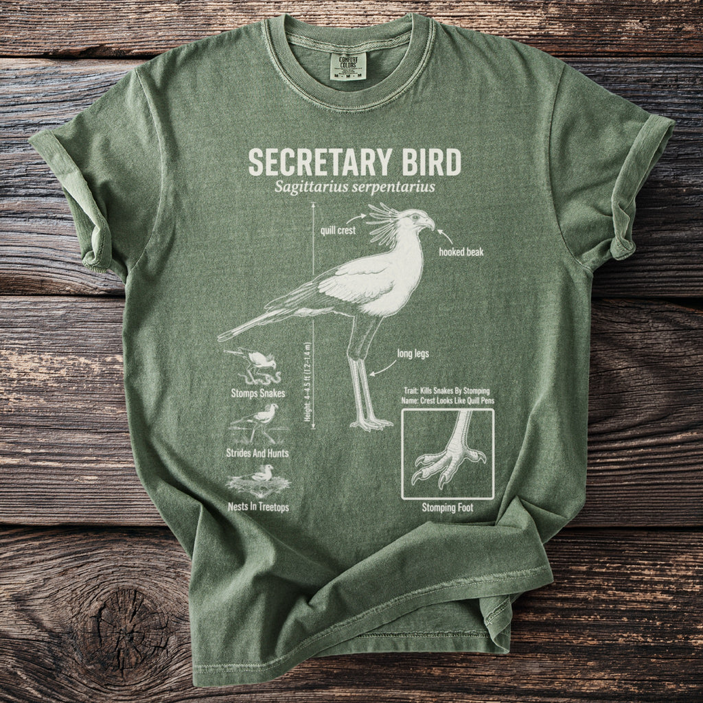 Green t-shirt with a diagram of a secretary bird and its features and behaviors.