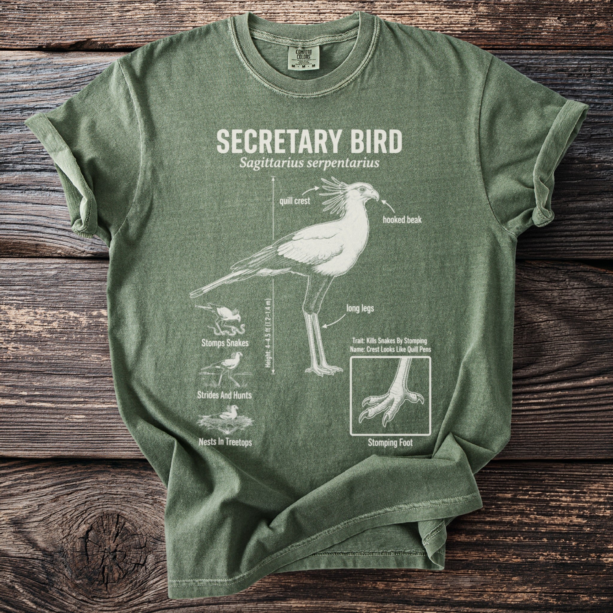 Green t-shirt with a diagram of a secretary bird and its features and behaviors.