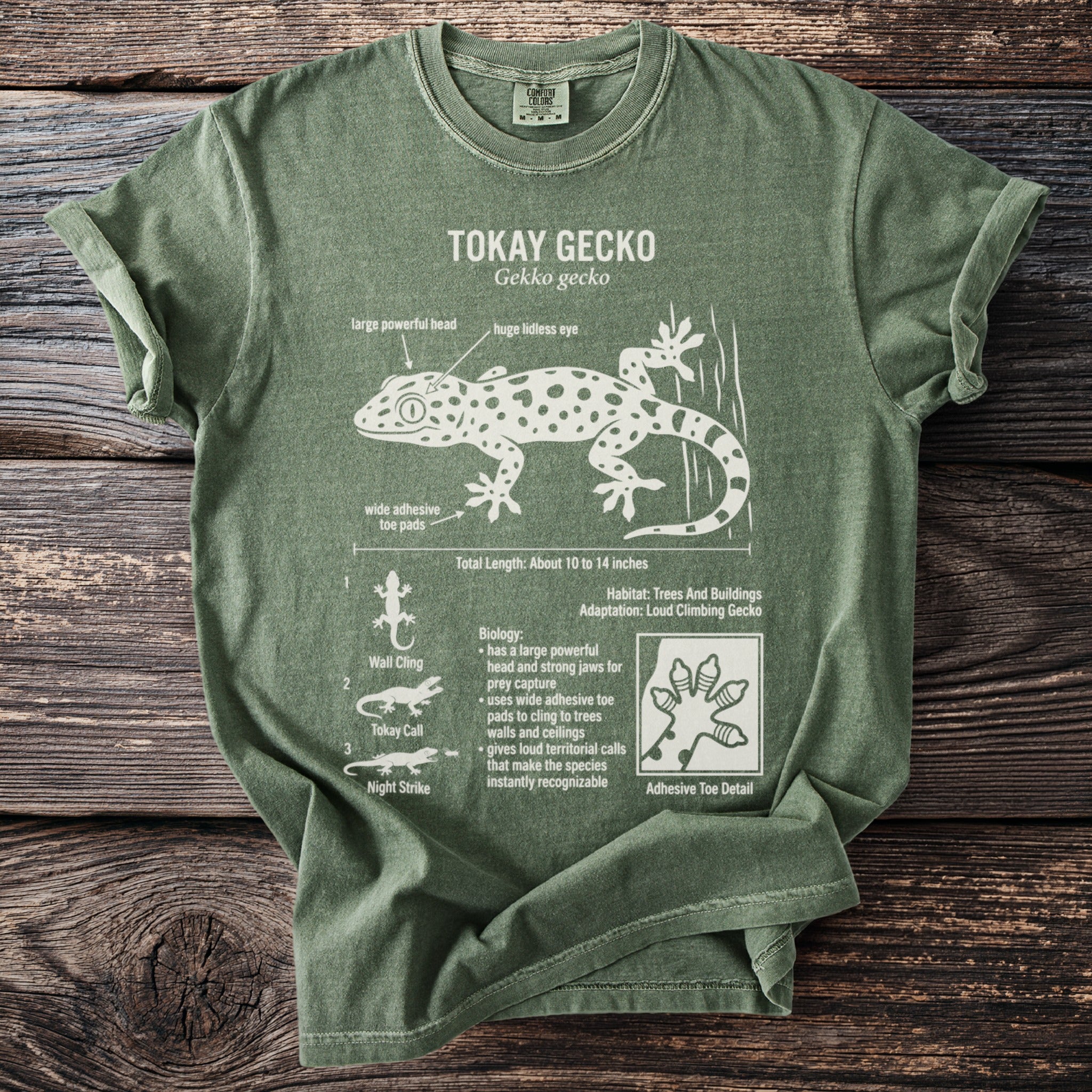 Green t-shirt with white Tokay gecko diagram, biology, and habitat details.
