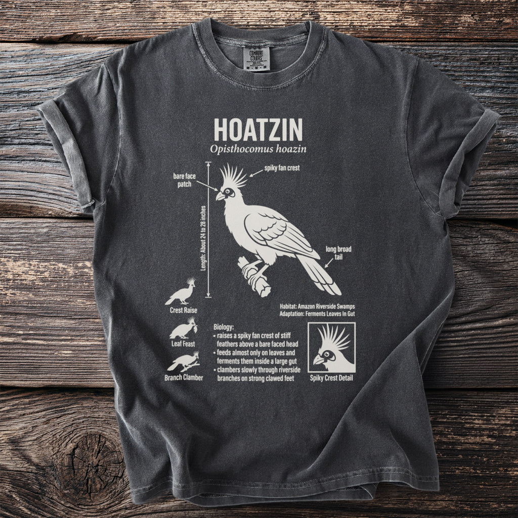 T-shirt with Hoatzin bird diagram labeled with anatomy and biology facts.