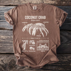 Brown t-shirt with Coconut Crab illustration and scientific details.