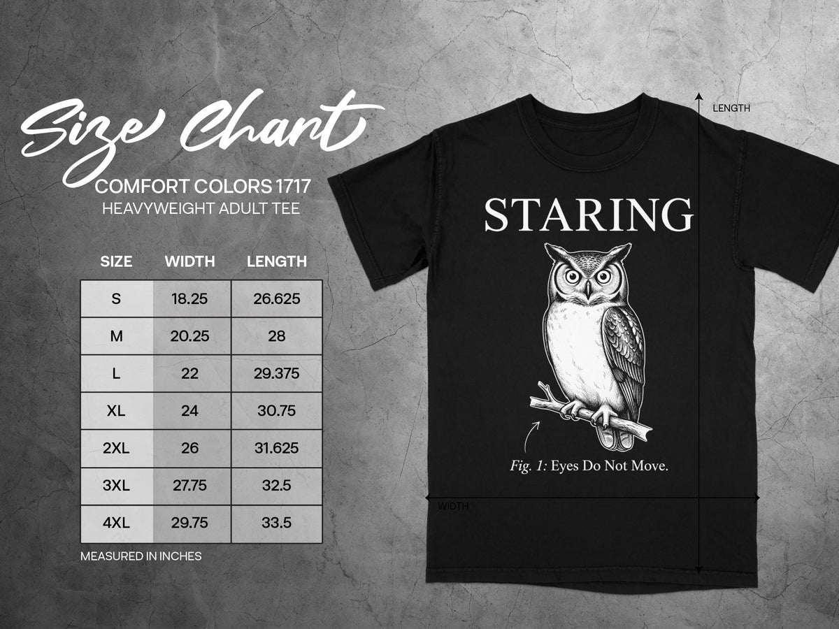 Black t-shirt with "Staring" text and owl graphic, plus size chart.