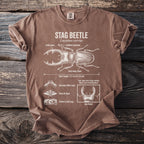 Brown t-shirt with diagram of a stag beetle, its features, and lifecycle.