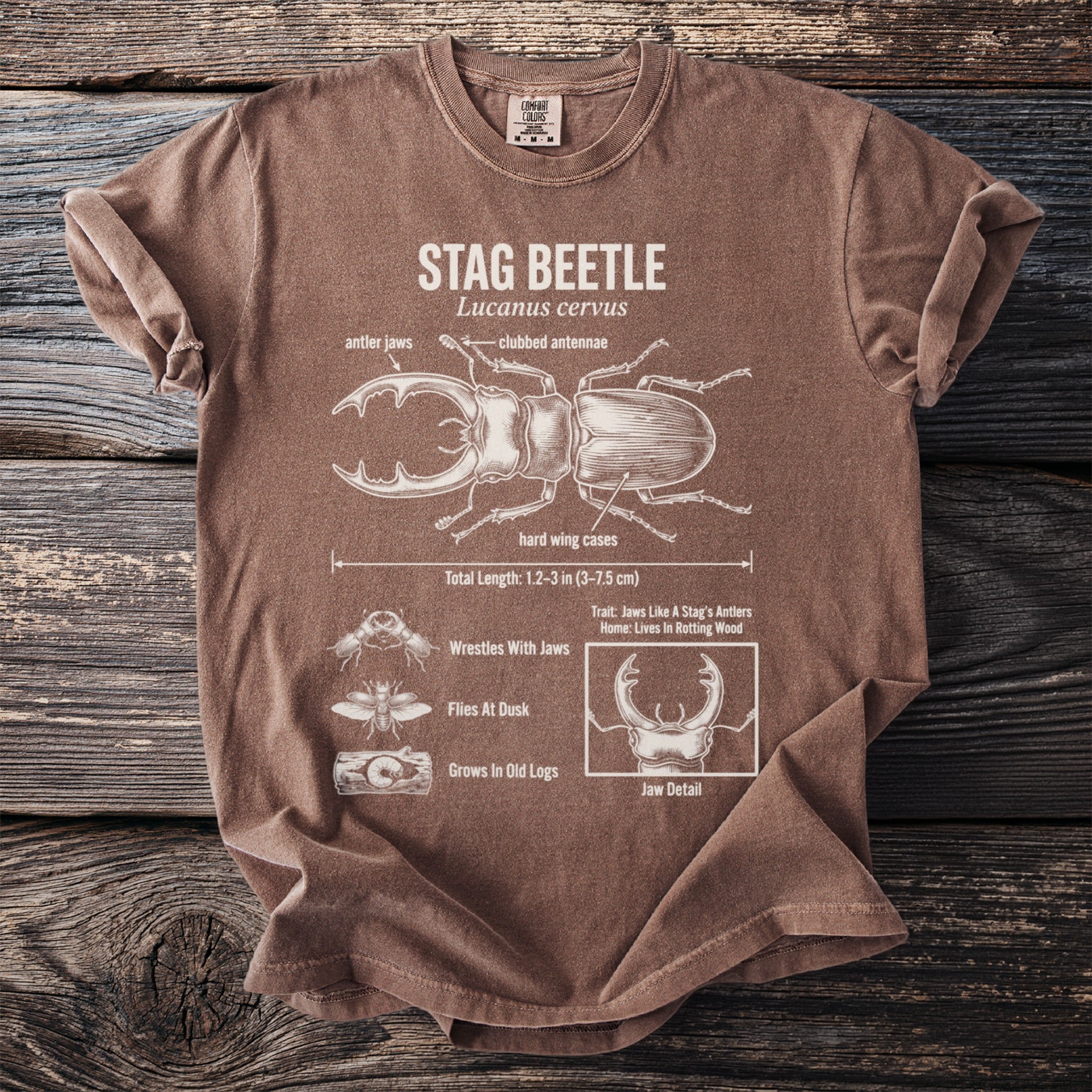Brown t-shirt with diagram of a stag beetle, its features, and lifecycle.