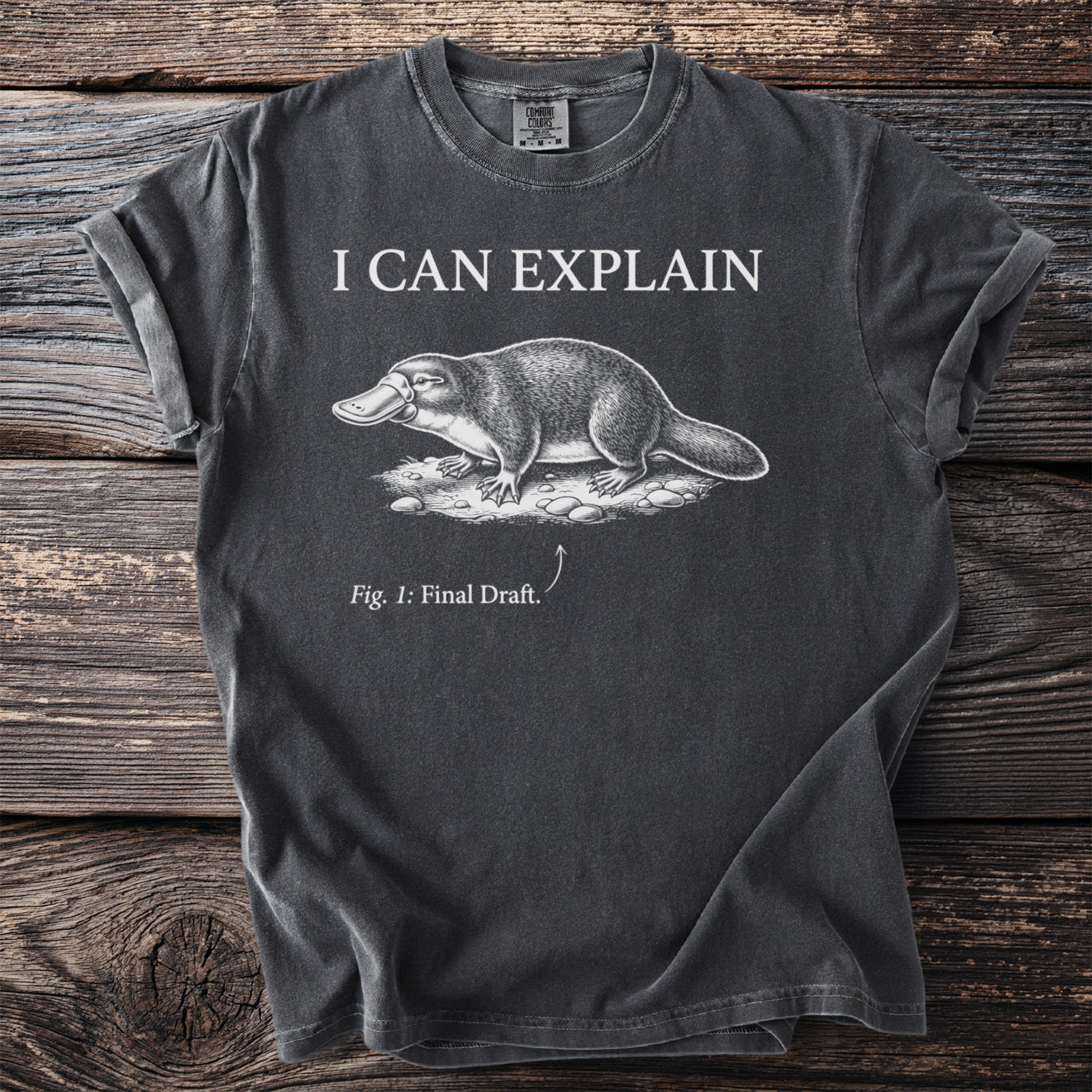 Dark t-shirt with "I CAN EXPLAIN" and platypus illustration labeled "Fig. 1: Final Draft."