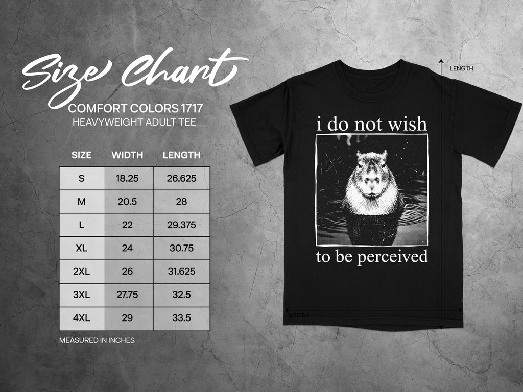 Comfort Colors 1717 garment size chart in inches.