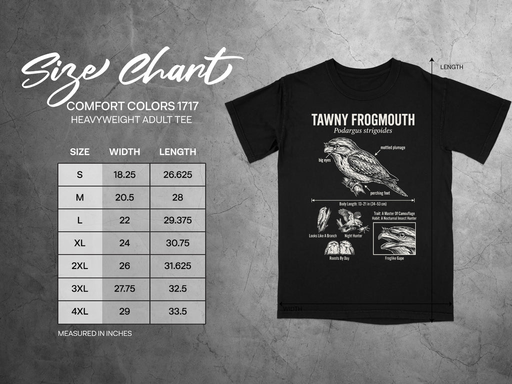 Comfort Colors 1717 garment size chart in inches.