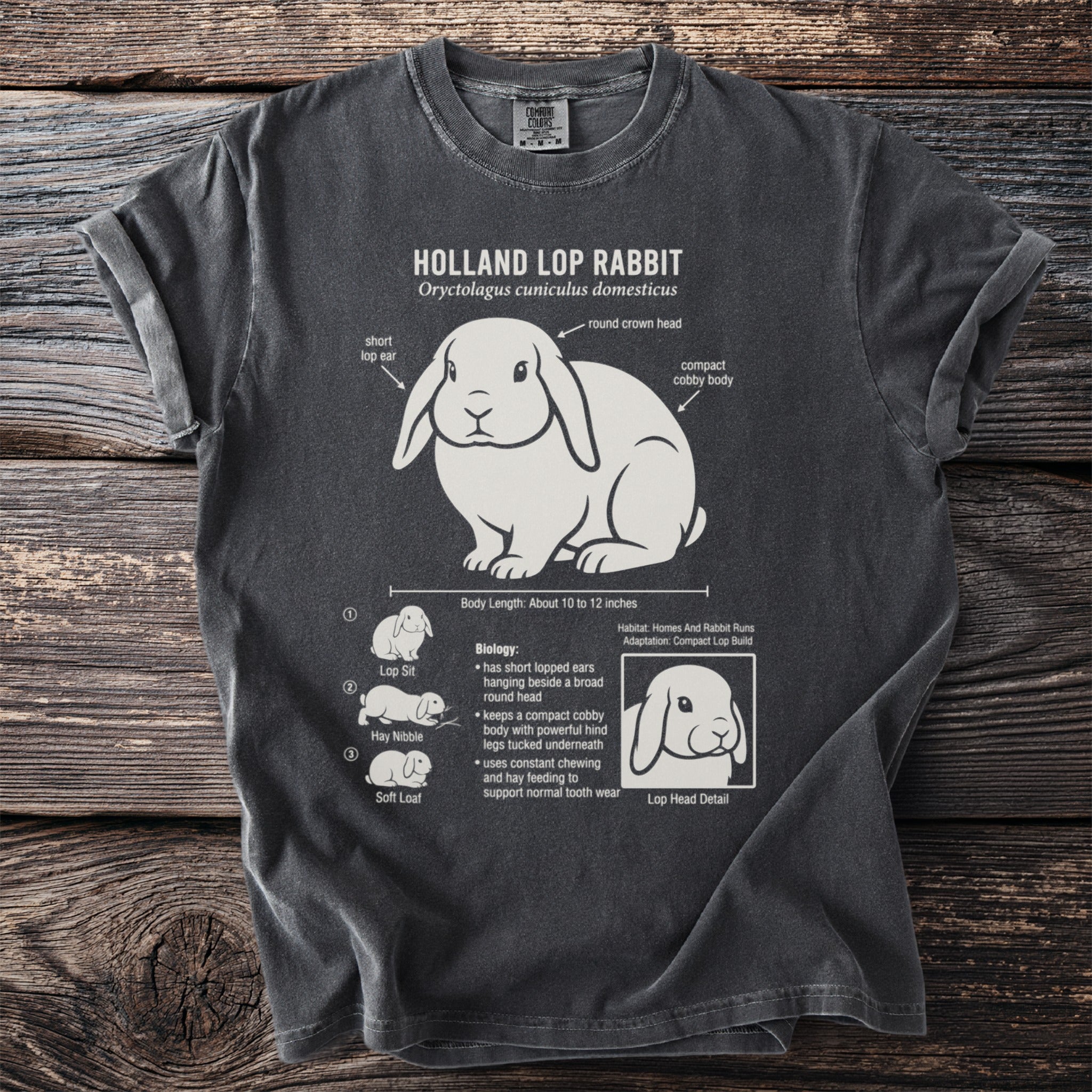 Holland Lop Rabbit diagram showing features, anatomy, and behaviors on a dark gray t-shirt.