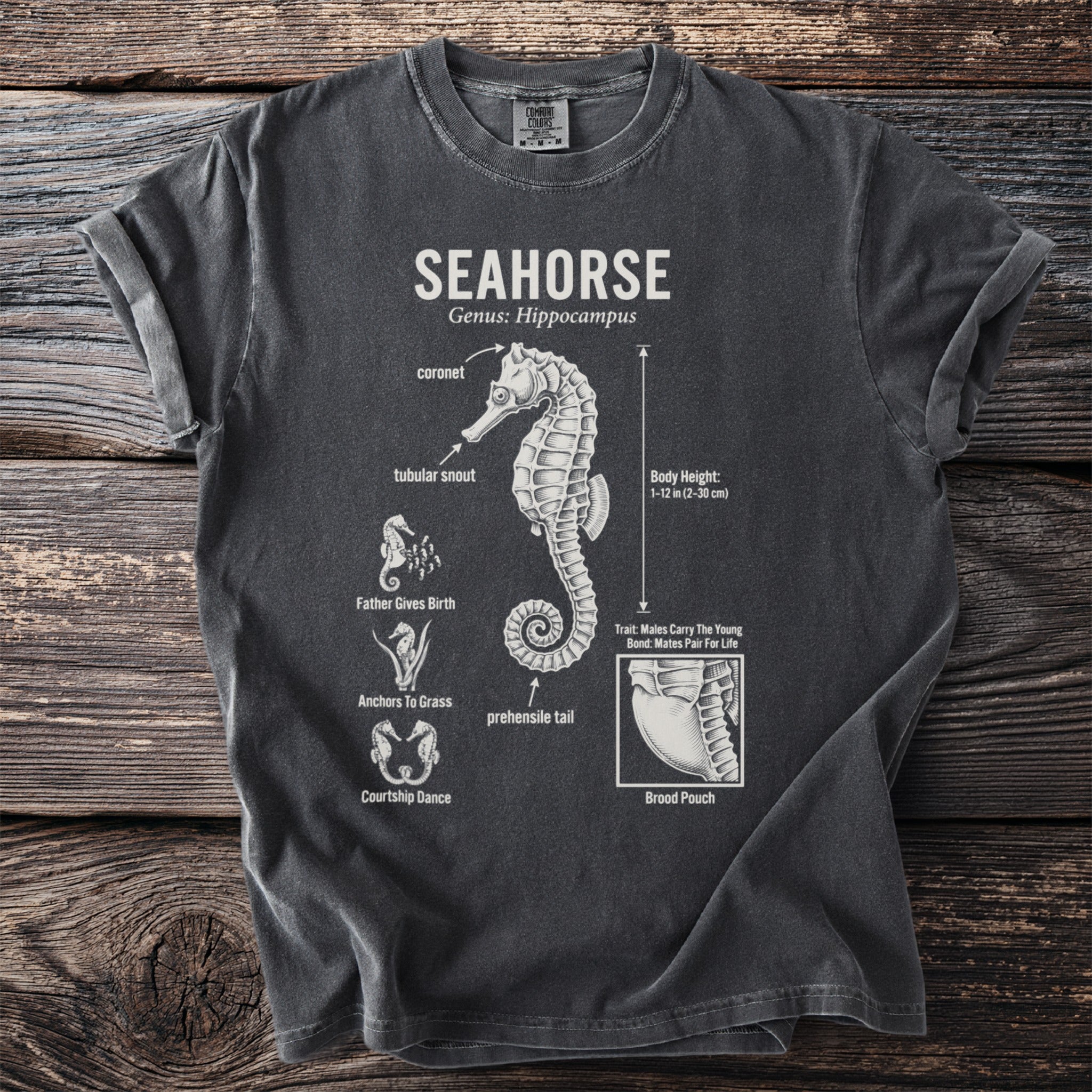 Dark t-shirt with white scientific illustration and text about seahorses.