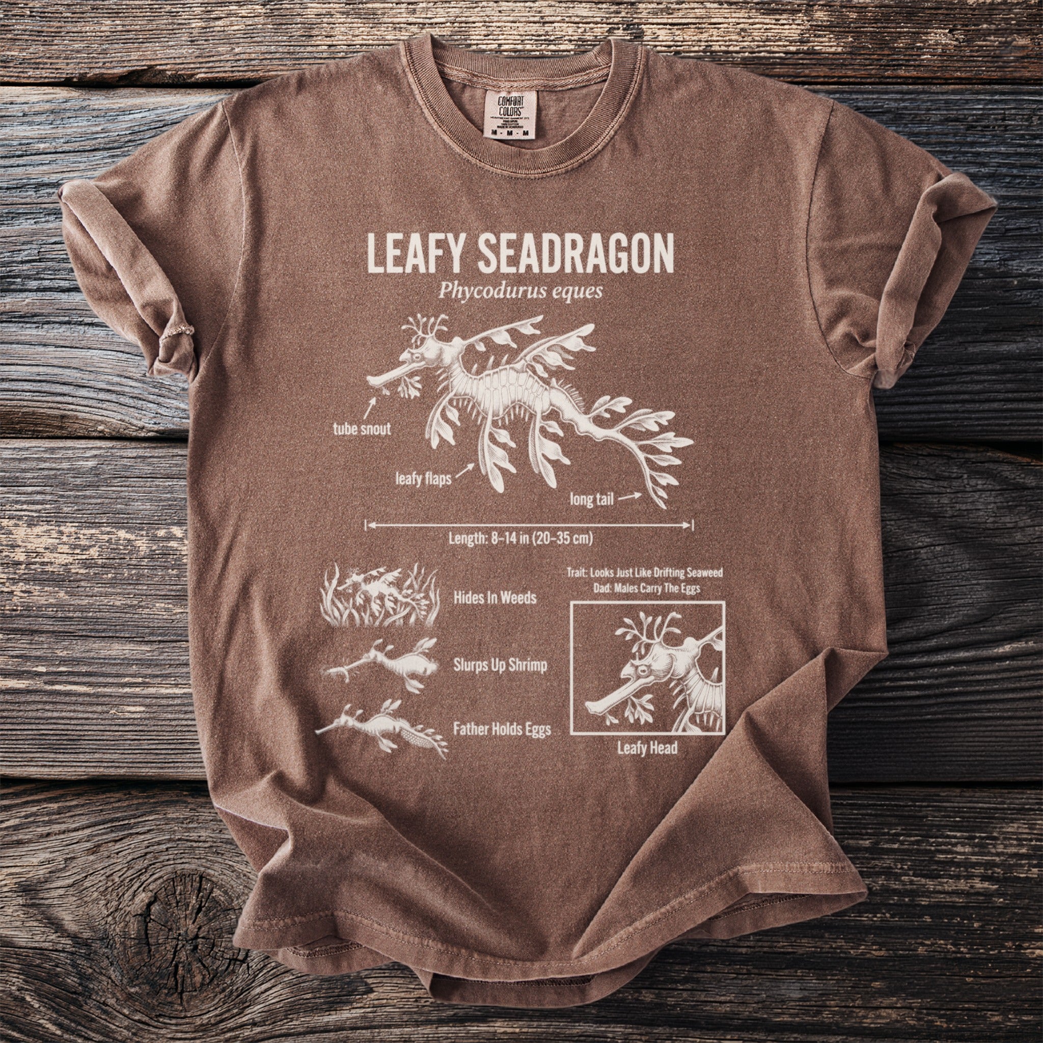 Brown t-shirt with a detailed diagram of a Leafy Seadragon and its traits.