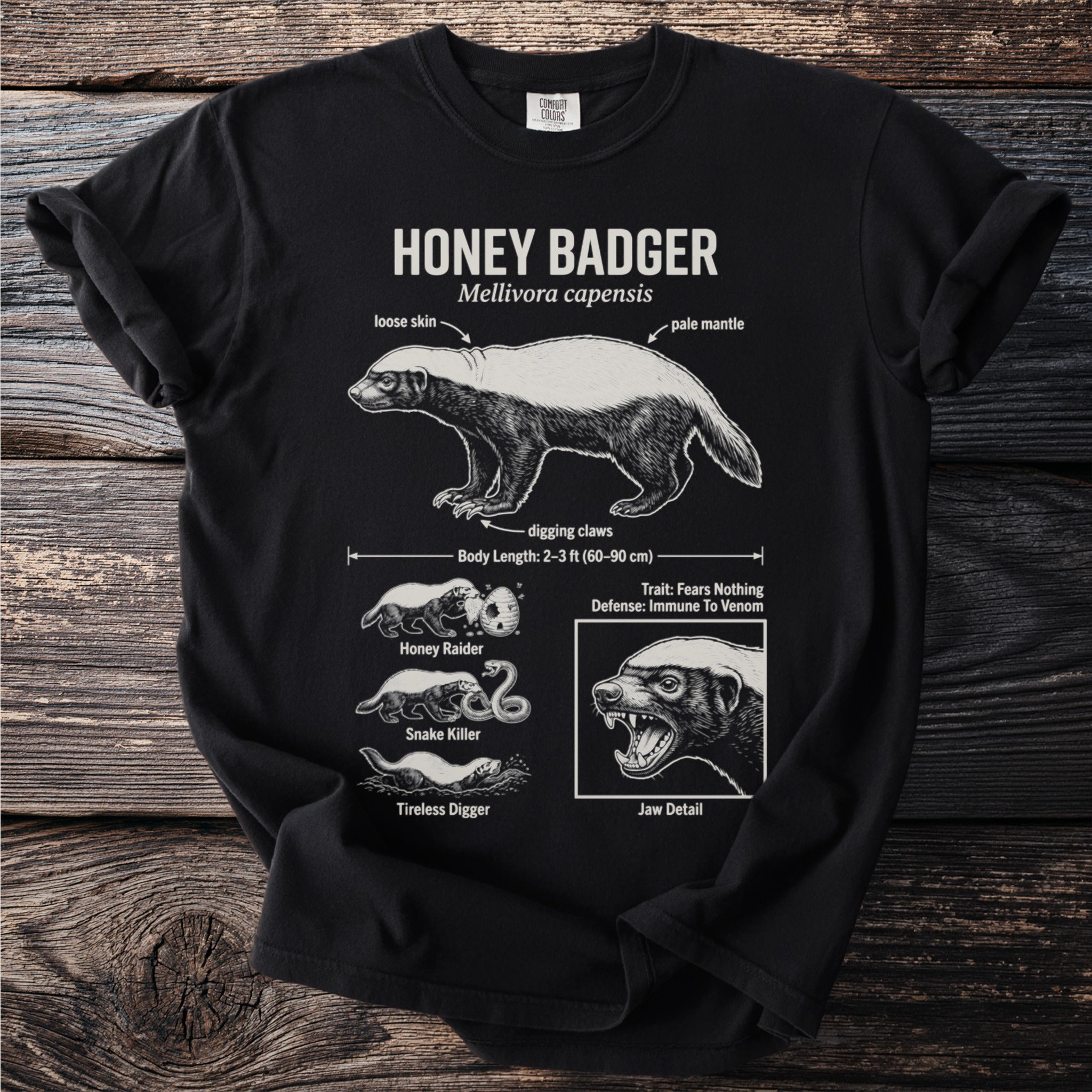 Black t-shirt with diagram of honey badger, its size, and abilities.