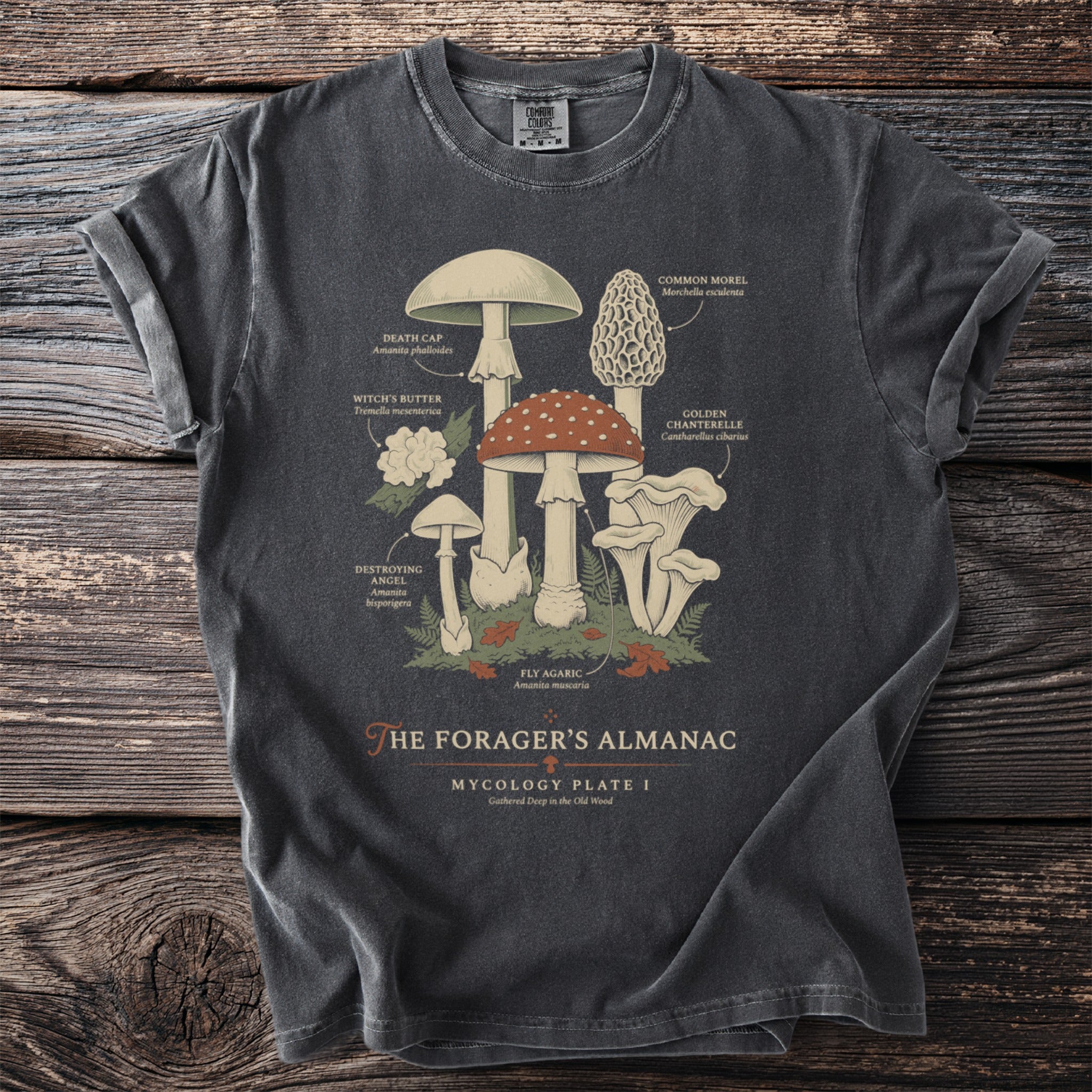 T-shirt with illustration of various mushrooms labeled "The Forager's Almanac Mycology Plate I."
