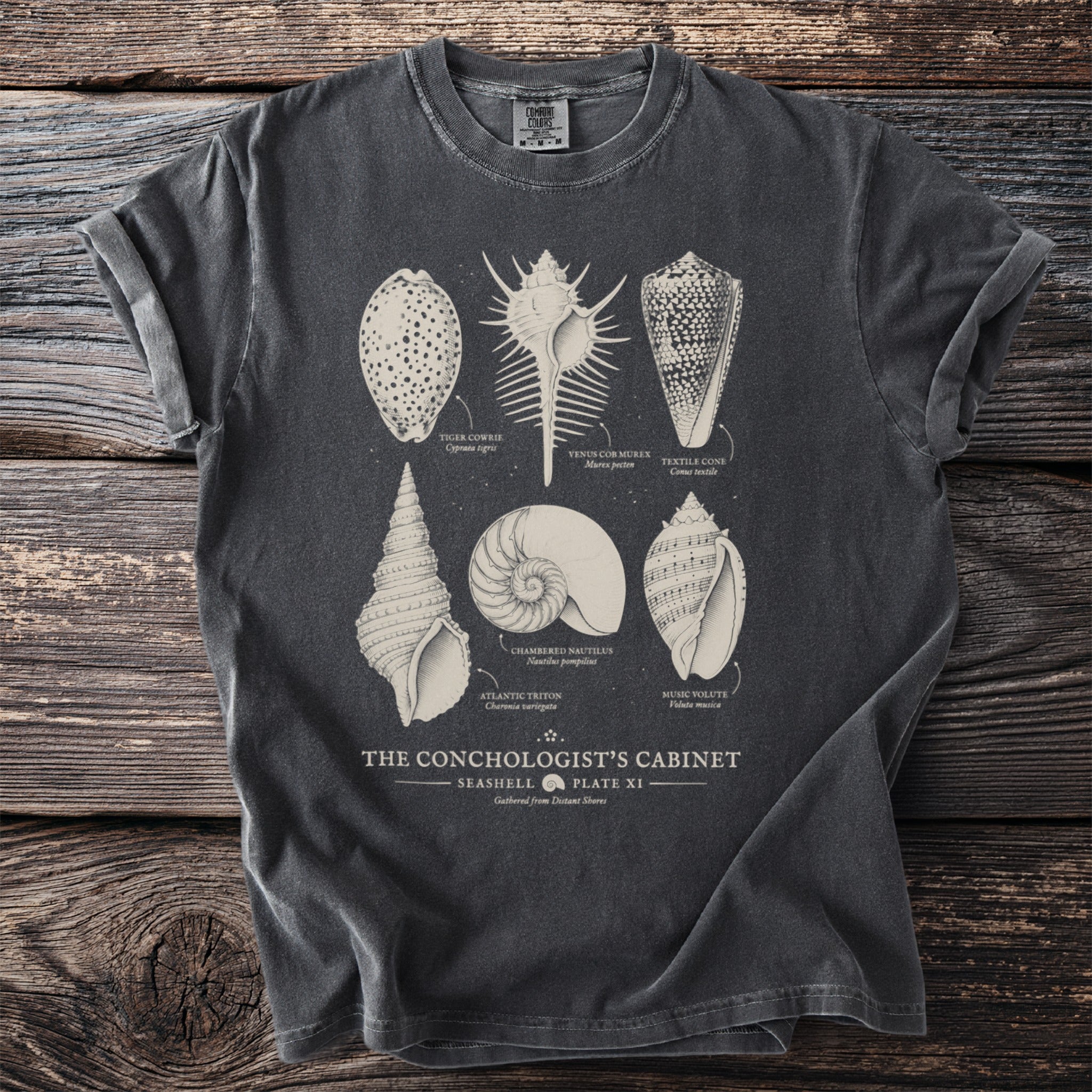Dark grey t-shirt featuring "The Conchologist's Cabinet" seashell illustration with names.